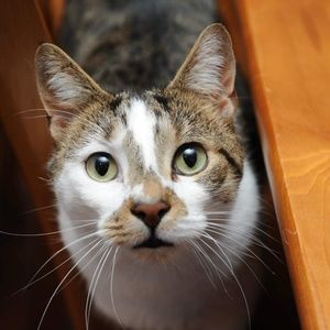 Meet your Posher, Ben